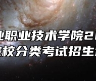 ​安徽矿业职业技术学院2024年高职院校分类考试招生章程