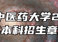 安徽中医药大学2026年本科招生章程