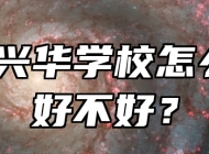 合肥兴华学校怎么样？好不好？