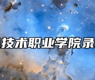 合肥信息技术职业学院录取分数线
