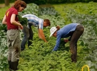 芜湖同文学校休闲农业生产与经营专业