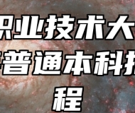 安徽职业技术大学2026年普通本科招生章程