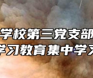 安庆工业学校第三党支部支委开展党史学习教育集中学习活动
