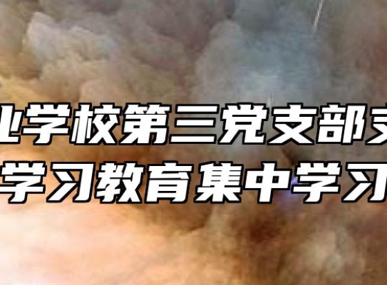 安庆工业学校第三党支部支委开展党史学习教育集中学习活动