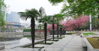 安徽邮电职业技术学院校园环境