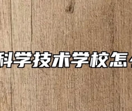 阜阳科学技术学校怎么样？