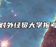 上海对外经贸大学报考指南