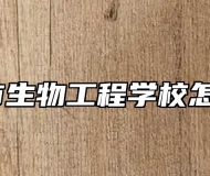 宣城市生物工程学校怎么样？