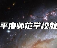 山东省平度师范学校就业保障