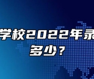 合肥中科学校2022年录取分数是多少？