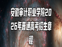 安徽审计职业学院2026年普通高考招生章程