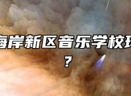 青岛西海岸新区音乐学校环境好吗？