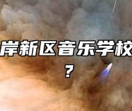 青岛西海岸新区音乐学校环境好吗？