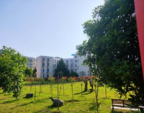 合肥飞跃学校校园环境