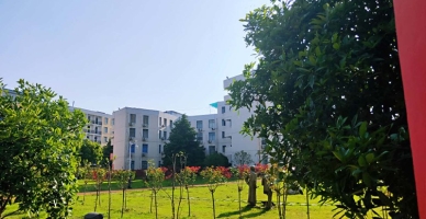 合肥飞跃学校校园环境