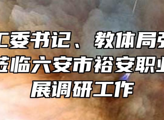 区教育工委书记、教体局张恩平局长一行莅临六安市裕安职业学校开展调研工作