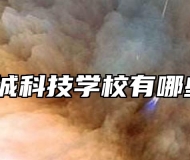 怀宁宜城科技学校有哪些专业？