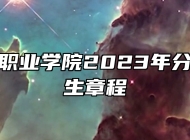 滁州城市职业学院2023年分类考试招生章程