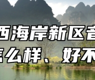 青岛西海岸新区音乐学校怎么样、好不好？