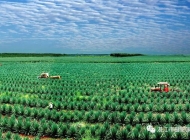 安徽机电工程学校（凤阳科技学校）作物生产技术简介