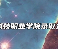 阜阳科技职业学院录取分数线