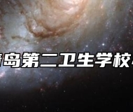山东省青岛第二卫生学校办学理念