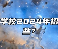 合肥北少林学校2024年招生专业有哪些？