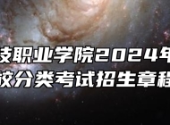 合肥科技职业学院2024年高职院校分类考试招生章程