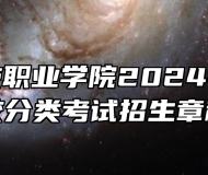 合肥科技职业学院2024年高职院校分类考试招生章程
