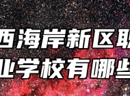 青岛西海岸新区职业中等专业学校有哪些专业
