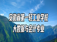 安徽省第一轻工业学校大数据与会计专业