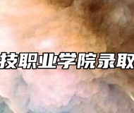 万博科技职业学院录取分数线