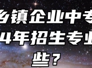 阜阳乡镇企业中专学校2024年招生专业有哪些？