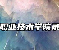 安徽工业职业技术学院录取分数线