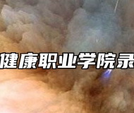 安徽卫生健康职业学院录取分数线