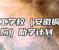 铜陵市理工学校（安徽铜陵技师学院）助学计划 