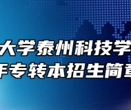 南京理工大学泰州科技学院2024年专转本招生简章