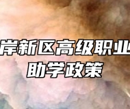 青岛西海岸新区高级职业技术学校助学政策