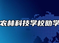 阜南农林科技学校助学政策