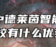 淄博中德莱茵智能科技学校有什么优势？