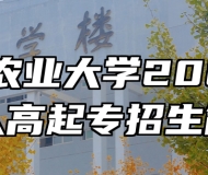 安徽农业大学2023年成人高起专招生简章