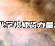 江淮工业学校师资力量怎么样？