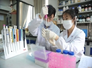 安徽省淮南卫生学校药剂(学)专业简介