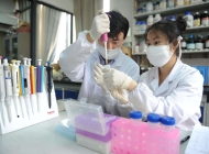 安徽省淮南卫生学校药剂(学)专业简介