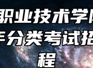 阜阳职业技术学院2024年分类考试招生章程