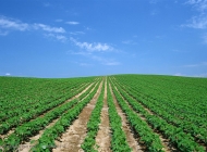 宁国市三津技工学校种植专业