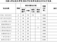 马鞍山职业技术学院2024年分类考试招生计划
