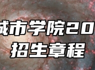合肥城市学院2025年招生章程