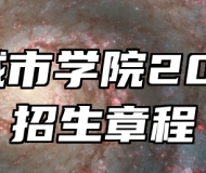 合肥城市学院2025年招生章程