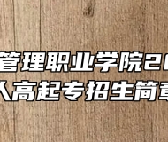 安徽城市管理职业学院2023年成人高起专招生简章